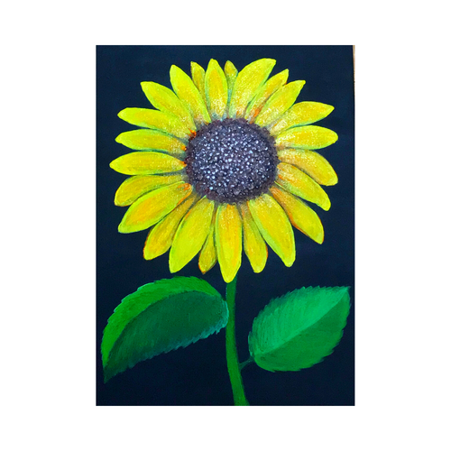 Sunflower C